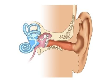 Schwerhörigkeit - Ohr Anatomie