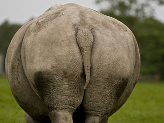 Proktologie - Hämorrhoiden Proktologie - Hämorrhoiden