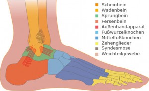 Bänderanriss Sprunggelenk Bänderanriss Sprunggelenk