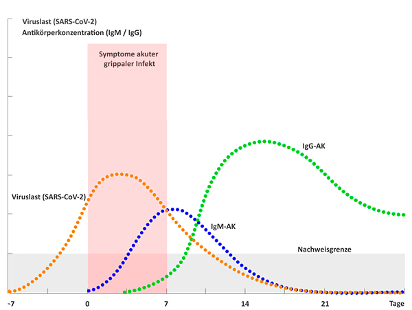 graphische Darstellung von Viruslast und Antikörpern