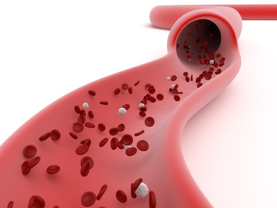 Rote Blutkörperchen transportieren den Sauerstoff zu den Organen
