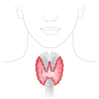 Endokrinologe Berlin diagnostizieren Hypothyreose