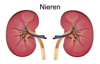 Nierenversagen akut, Niereninsuffizienz akut