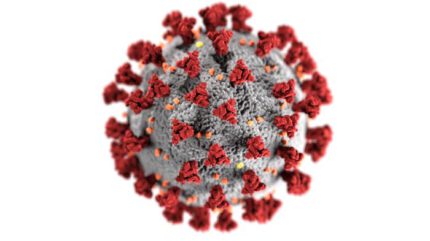 Darstellung Coronavirus